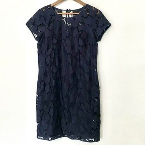 Loft lace double layer dress navy size 4